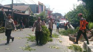 WhatsApp Image 2024-05-20 at 09.30.58