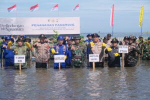 WhatsApp Image 2024-06-04 at 19.15.36 (1)