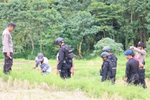 WhatsApp Image 2024-07-07 at 19.24.08