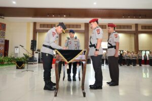 WhatsApp Image 2024-09-09 at 14.11.54