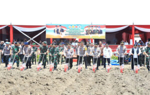 WhatsApp Image 2024-11-20 at 18.55.35