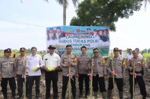 WhatsApp Image 2024-11-21 at 09.20.41