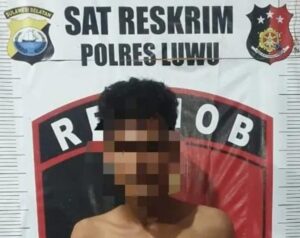 WhatsApp Image 2024-12-31 at 17.41.37