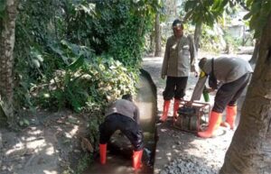 WhatsApp Image 2025-07-10 at 04.19.46