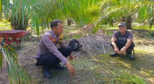 WhatsApp Image 2025-07-17 at 10.35.25