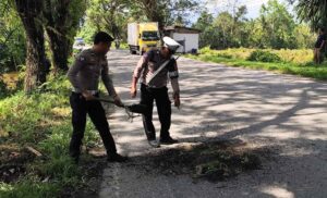 WhatsApp Image 2025-08-11 at 13.57.52