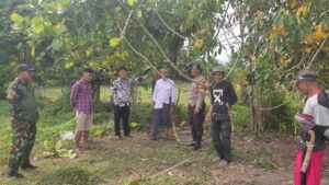 WhatsApp Image 2025-09-12 at 08.41.50