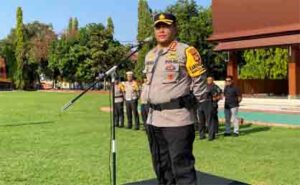 WhatsApp Image 2025-10-07 at 16.37.01