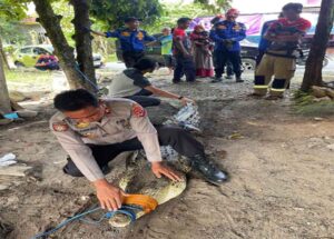 WhatsApp Image 2025-11-23 at 17.54.23