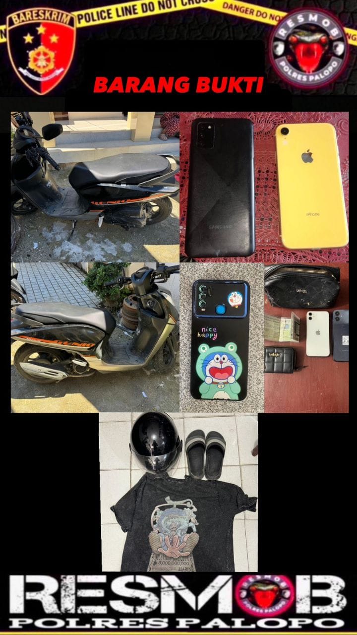 WhatsApp Image 2025-12-05 at 14.13.51