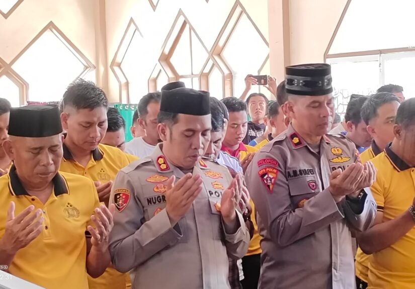 WhatsApp Image 2025-12-05 at 15.43.58