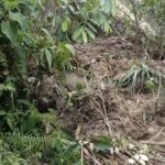 Longsor Putus Akses Masamba–Rampi, Tujuh Titik Terdampak