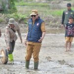 Bupati Luwu Utara Turun Langsung Penanaman Perdana di Lahan CSR 400 Ha