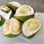 Gali Potensi Durian Endemik, Pemkab Luwu Utara Gelar Festival Durian Lokal 2026
