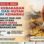 Waspada El Nino! Pemda Luwu Utara Larang Keras Buang Puntung Rokok Sembarangan demi Cegah Kebakaran