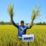 Bupati Luwu Utara Andi Abdullah Rahim Dorong Petani Gerak Cepat Ajukan Bantuan Alsintan Lewat PPL