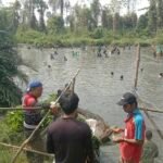 Manngoko di Liku Lambe: Warga Ujung Mattajang Ramaikan Tradisi Tangkap Ikan Bersama